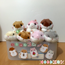 圖片11