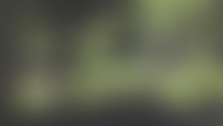 Big Plan Vs Big Bang