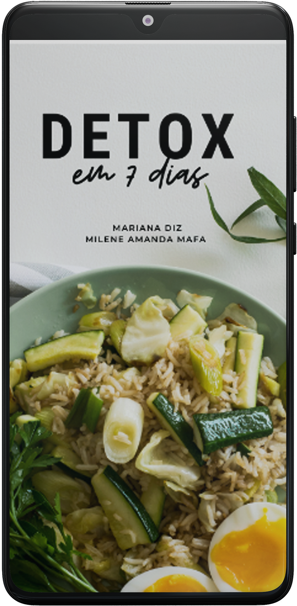 Celular-mockup-livro 1