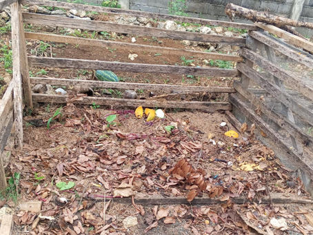 Composting Made Easy: A Beginner’s Guide