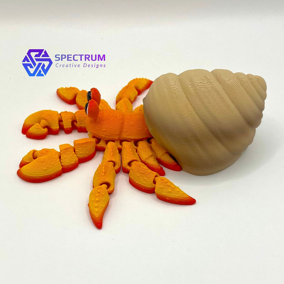 Thumbnail: Hermit Crab