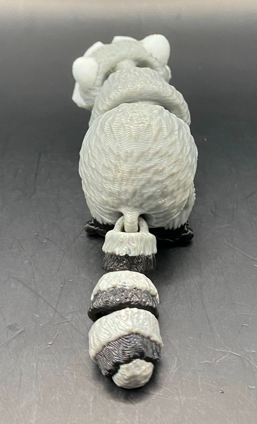 Thumbnail: Petite Racoon