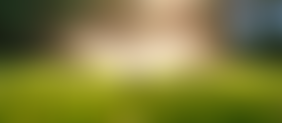 Mastering Lawn Care: Essential Tips for Watering in Chester NJ
