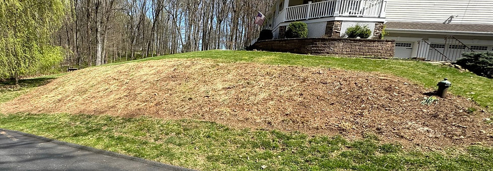 Why Your NJ Lawn Looks Rough This Spring — And How to Fix It