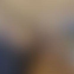 Středoevropské umění v exilu