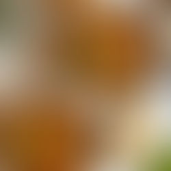 Minestrone met parmezaan gehaktballetjes