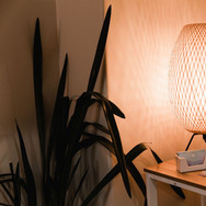 Deep Relax Massage on Pitt Street