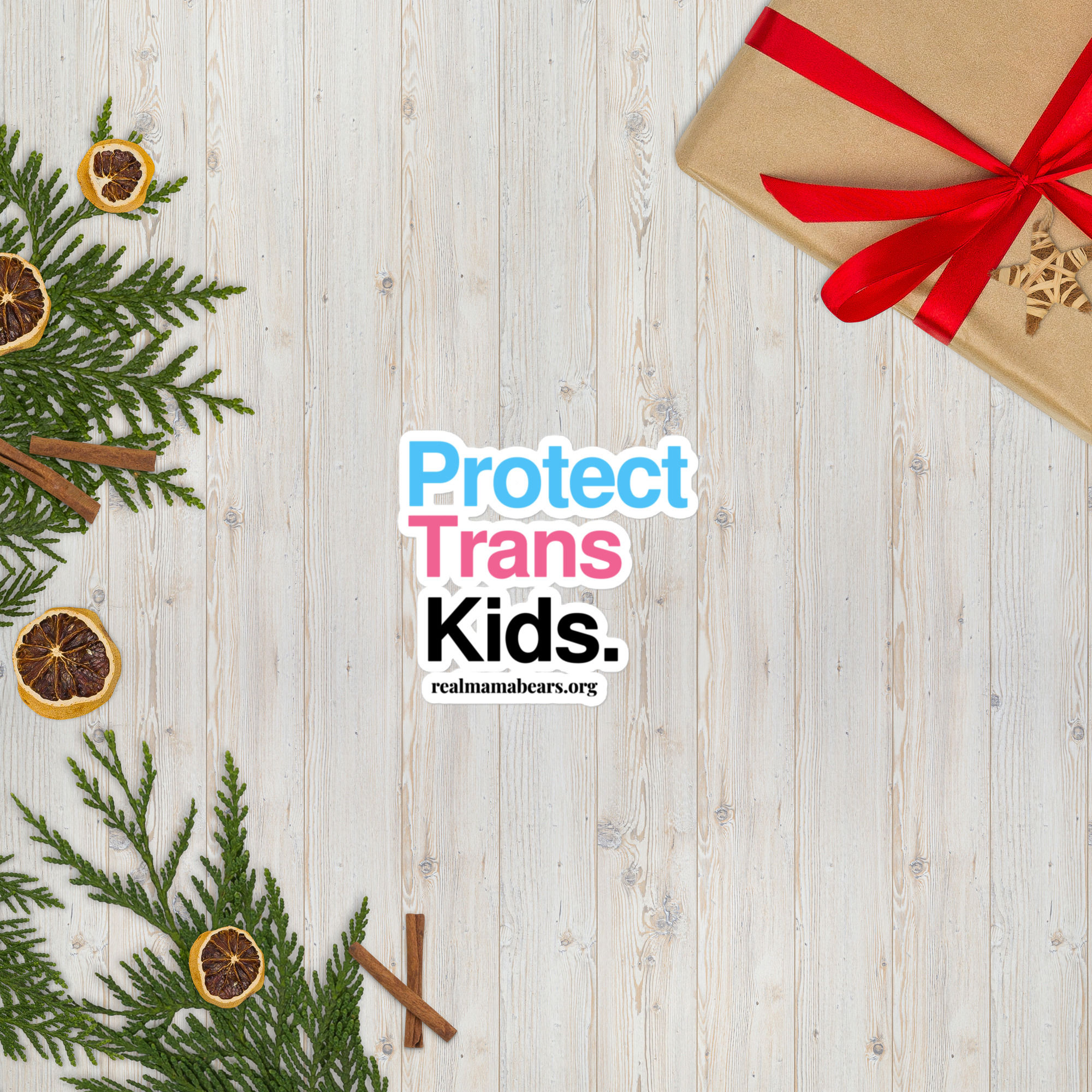 Protect Trans Kids sticker