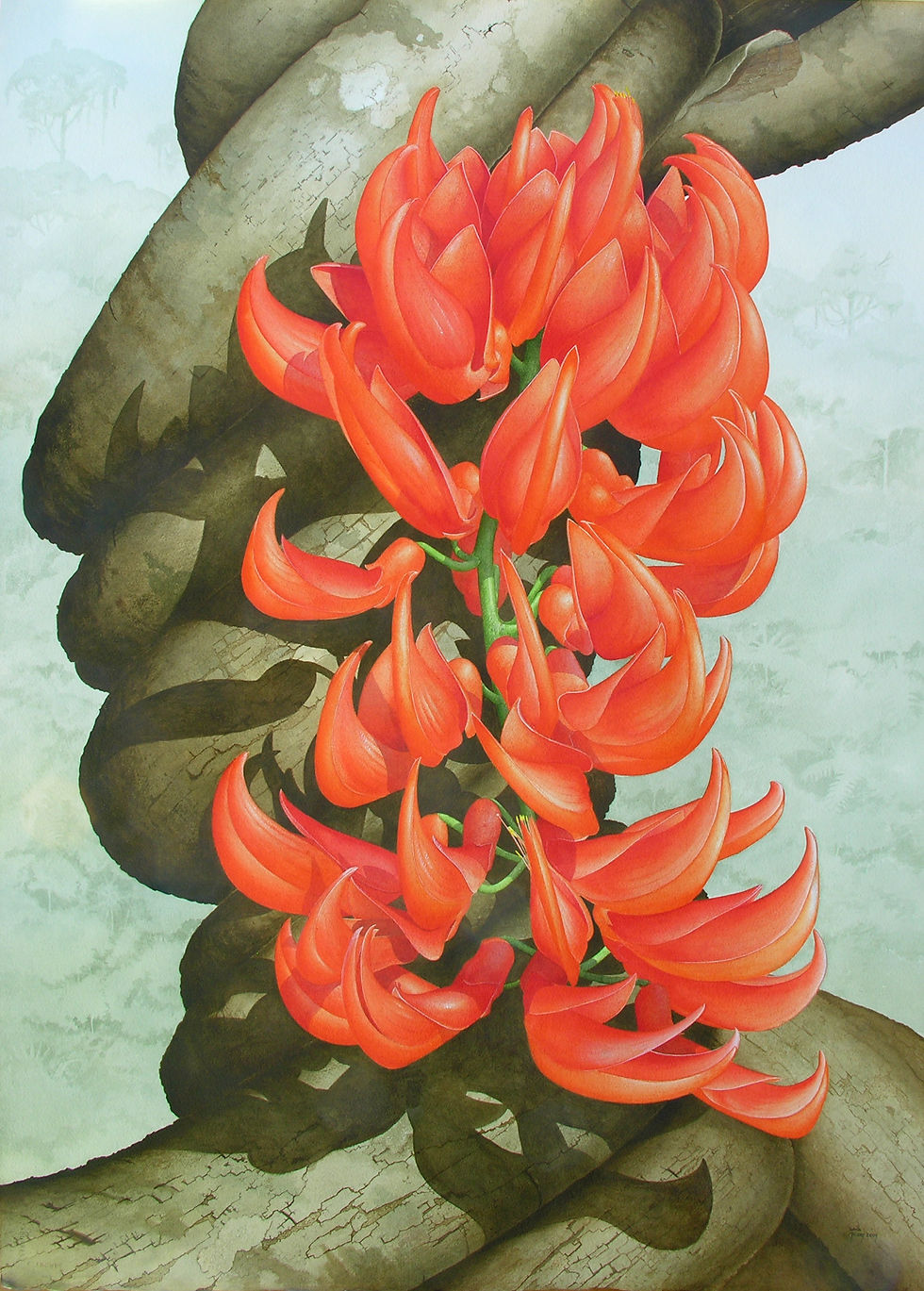 Flame of the Forest