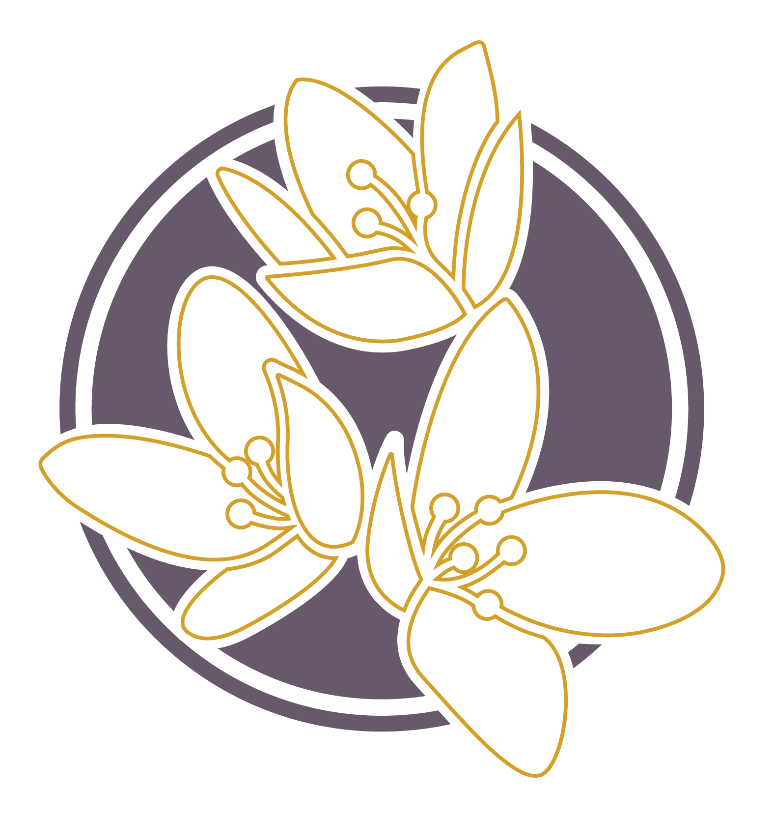 Writer: Treasure Valley Medspa