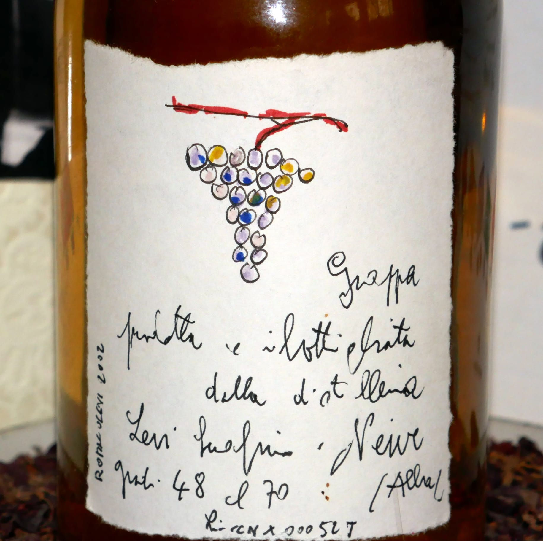 Grappolo d'uva - Levi-Traube 2002