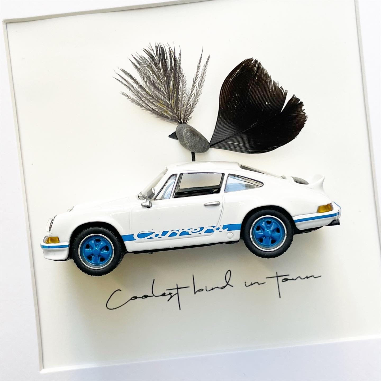 Coolest bird in town (Porsche 911 special edition)