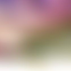 🌏 IPM presente en la Feria de Cantón, China: tecnología, industria y una mirada global