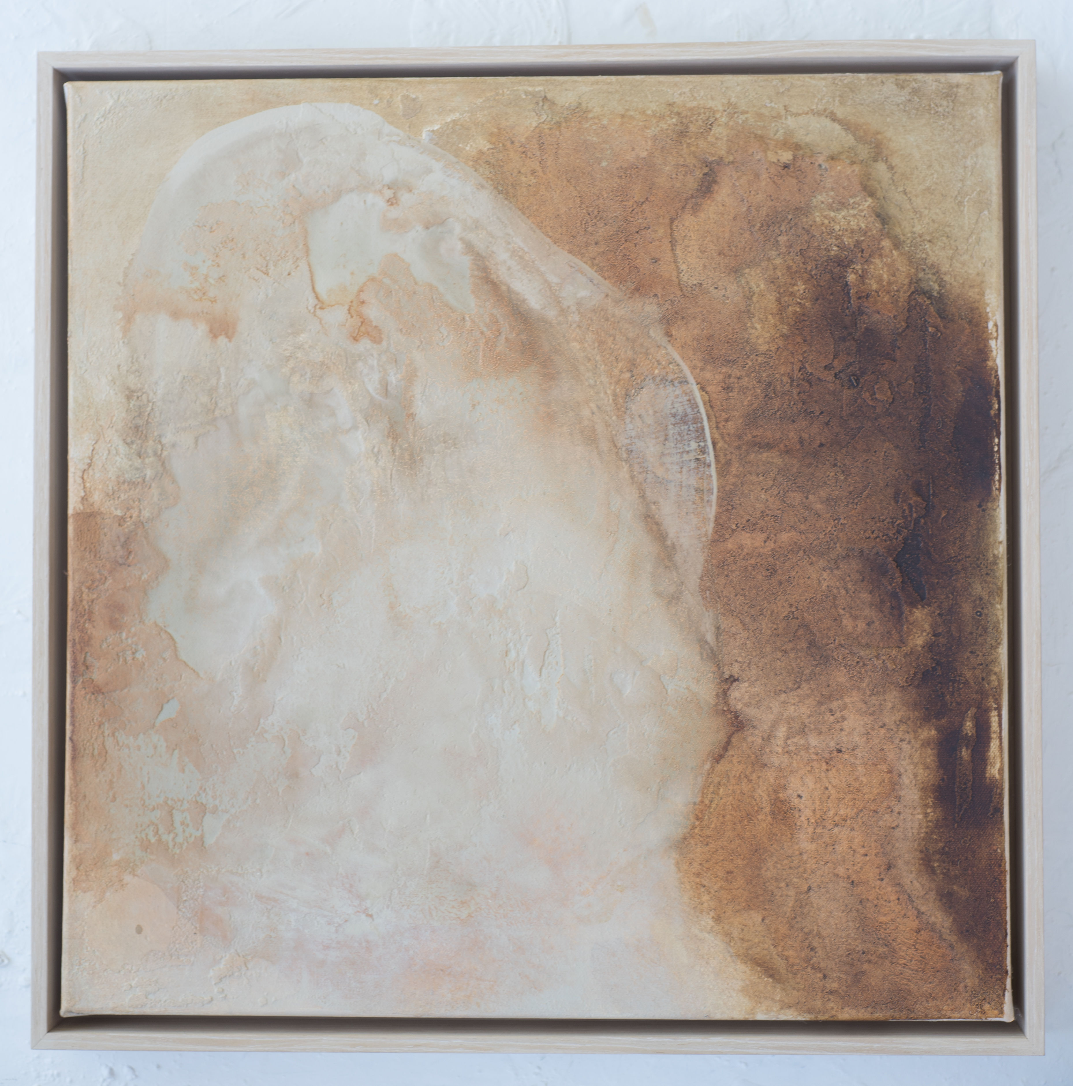 "Fallen Chestnut"    16" x 16" x 1.5"