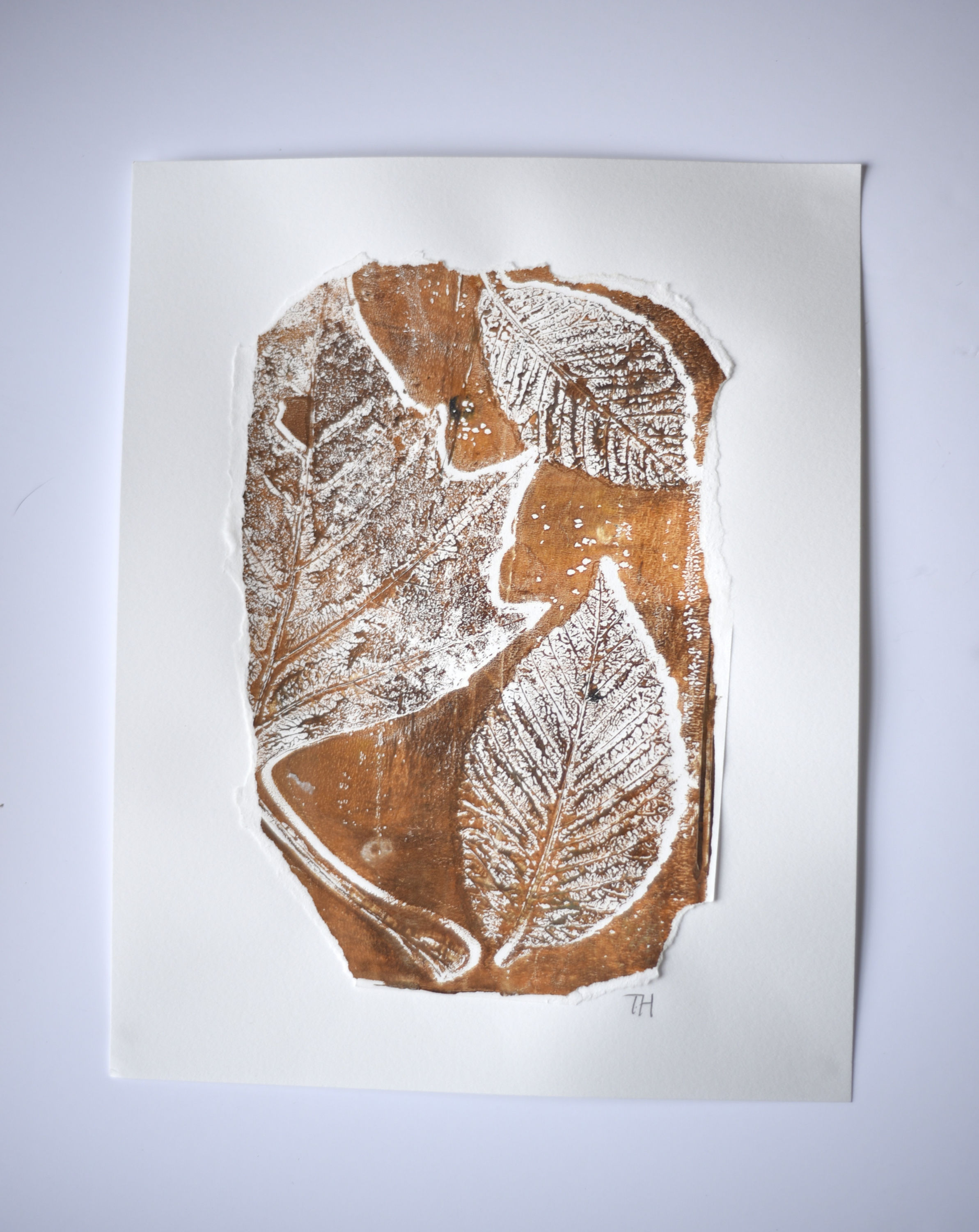 BOTANICALPRINT WITH ACRYLIC