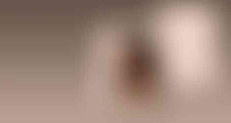 Wedding Mockup Freebie.jpg