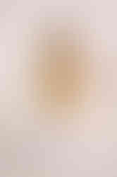 Nahla Al Aelfy 224585.jpg