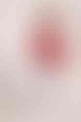 Nahla Al Aelfy 224633.jpg