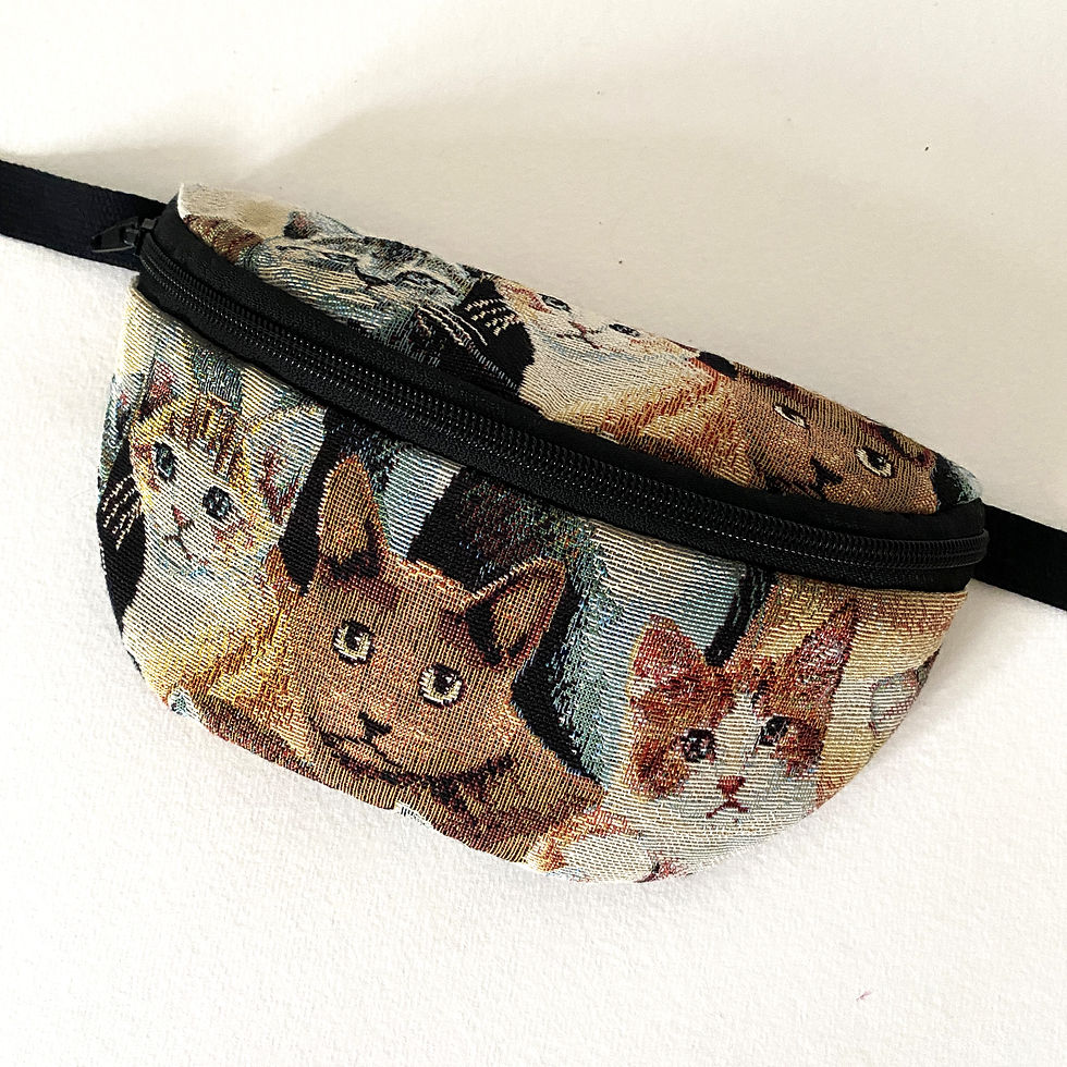 Miniaturbild: HIPBAG CATS SMALL
