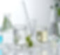 Resized Plants in chemisty tubes science.jpg