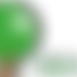 新型コロナウイルス対策          Response to Corona Virus 