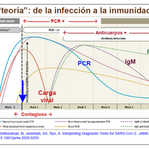 Interpretación de los Test del Covid-19