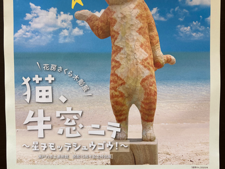 夏休みのおでかけに🐈