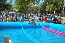 dsc_0487_18270116684_o