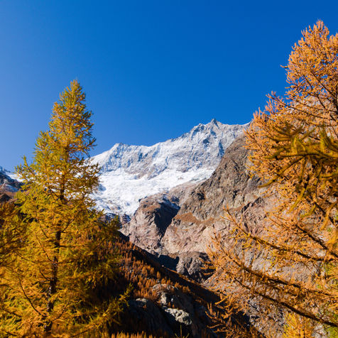DSCF9079.jpg