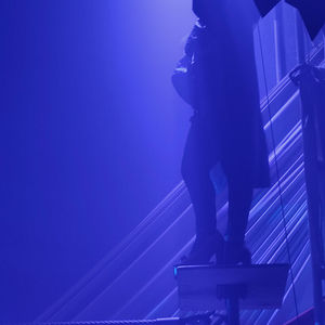 VITORINO FIGARI O EL VUELO DE LA JIRAFA