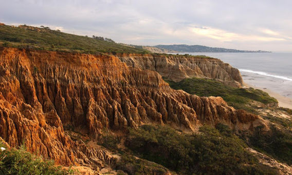 Torrey Pines.jpg