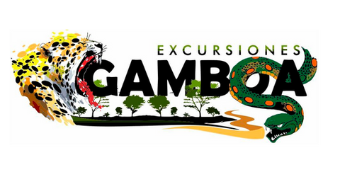 Gamboa_Logo copia.png