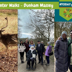 Winter Walks - Dunham Massey