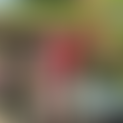 #FridayFun - Fun in The Sun