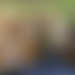 #FridayFun - Longsight Activity Fun