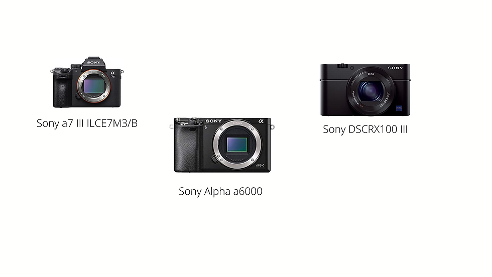 Best Sony Mirrorless Camera To Get in 2022