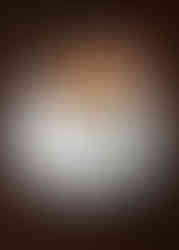 Cheltenham Chez Roux French onion soup