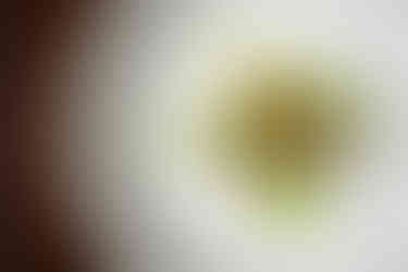 Cheltenham Festival Food Fish Starter