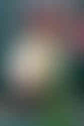 A barman smiling whilst serving a cocktail in the bottle green bar