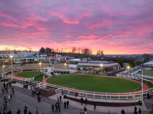 The Cheltenham Festival 2025 - Food and Hospitality Photography