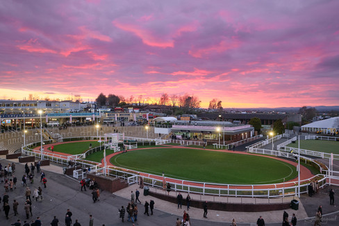 A view over the parade ring at cheltenham racecourse with a red sunset