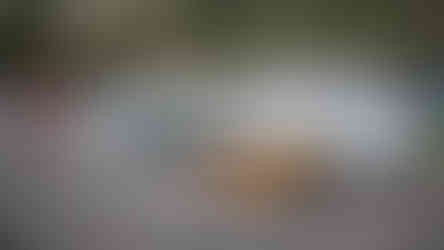 Cars in the paddock at Precott Hill