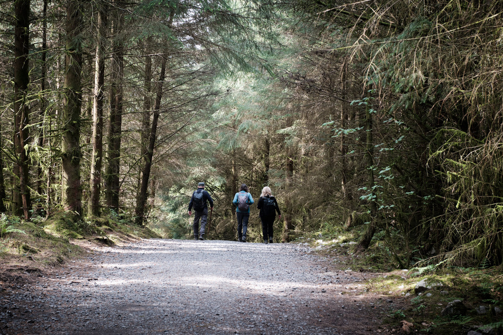 Three people walking through the woods on the four waterfalls trail