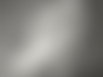 Young girl in ballet tu tu posing en pointe looking at the camera