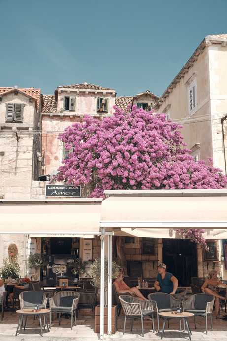 Old building in Cavtat with purple flowers