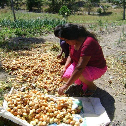 La Fao y el Parlatino piden avanzar en el desarrollo sostenible
