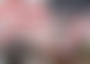 Senadores republicanos y demócratas preparan un plan para evitar la deportación de dreamers amparado