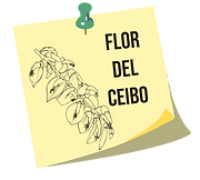 Sin título-1-2.png