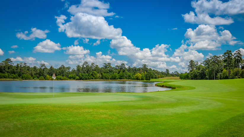 Carlton Woods-013-Large.jpg