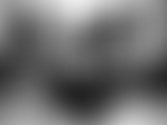 Porcentagem para cada Co-participante de uma Obra Musical